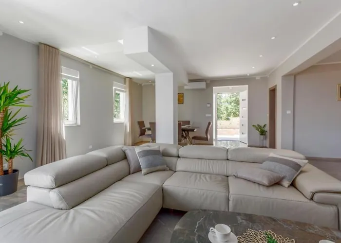 Cissa By Guide * Peroj